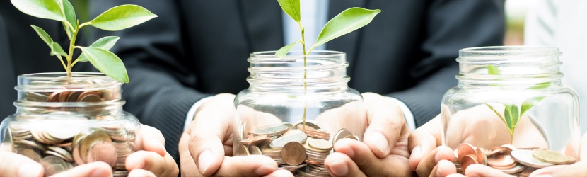 plantes monnaie